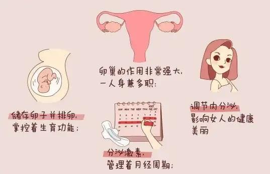 婦科凝膠貼牌廠家