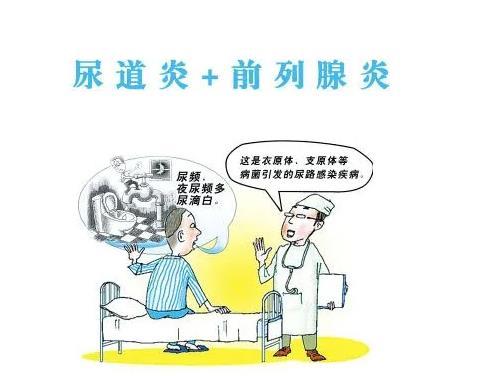 前列腺凝膠廠家