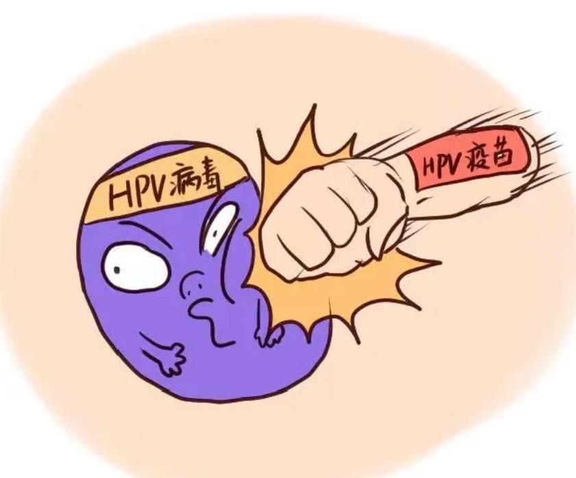 hpv凝膠廠家